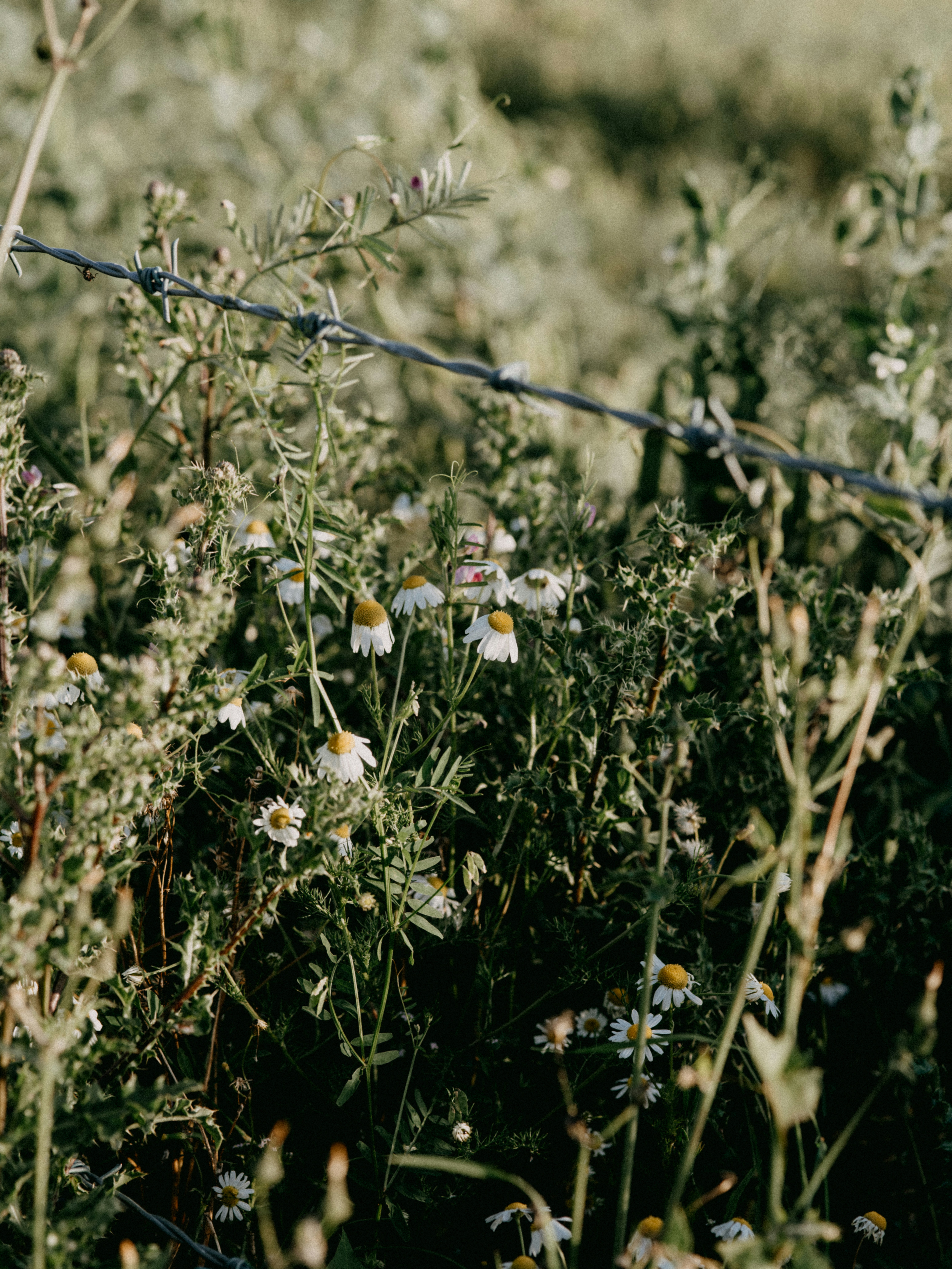 Photo by anniespratt