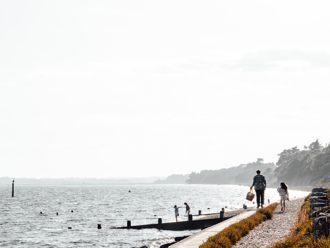 people standing on brown wooden dock during daytime