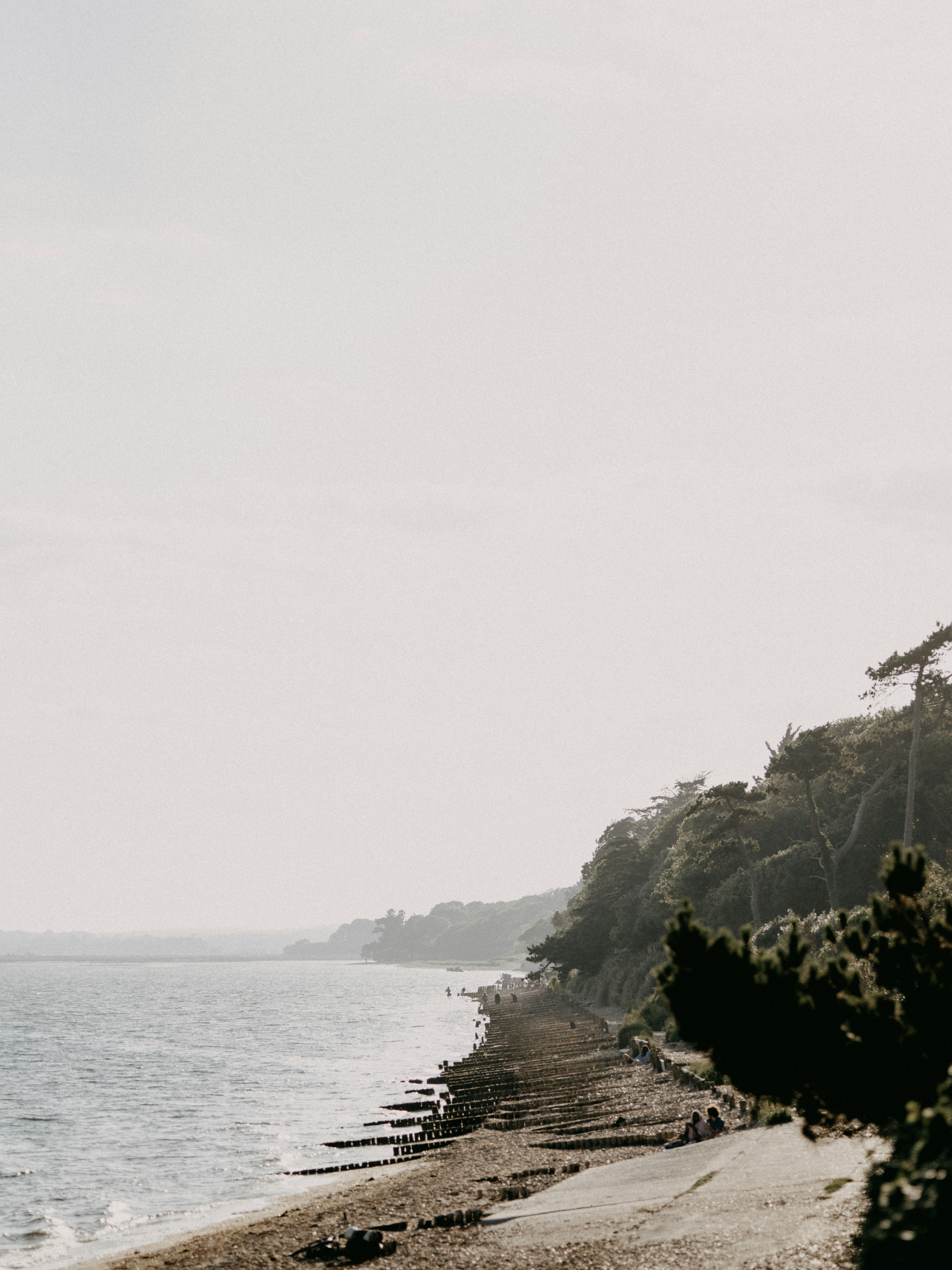 Photo by anniespratt