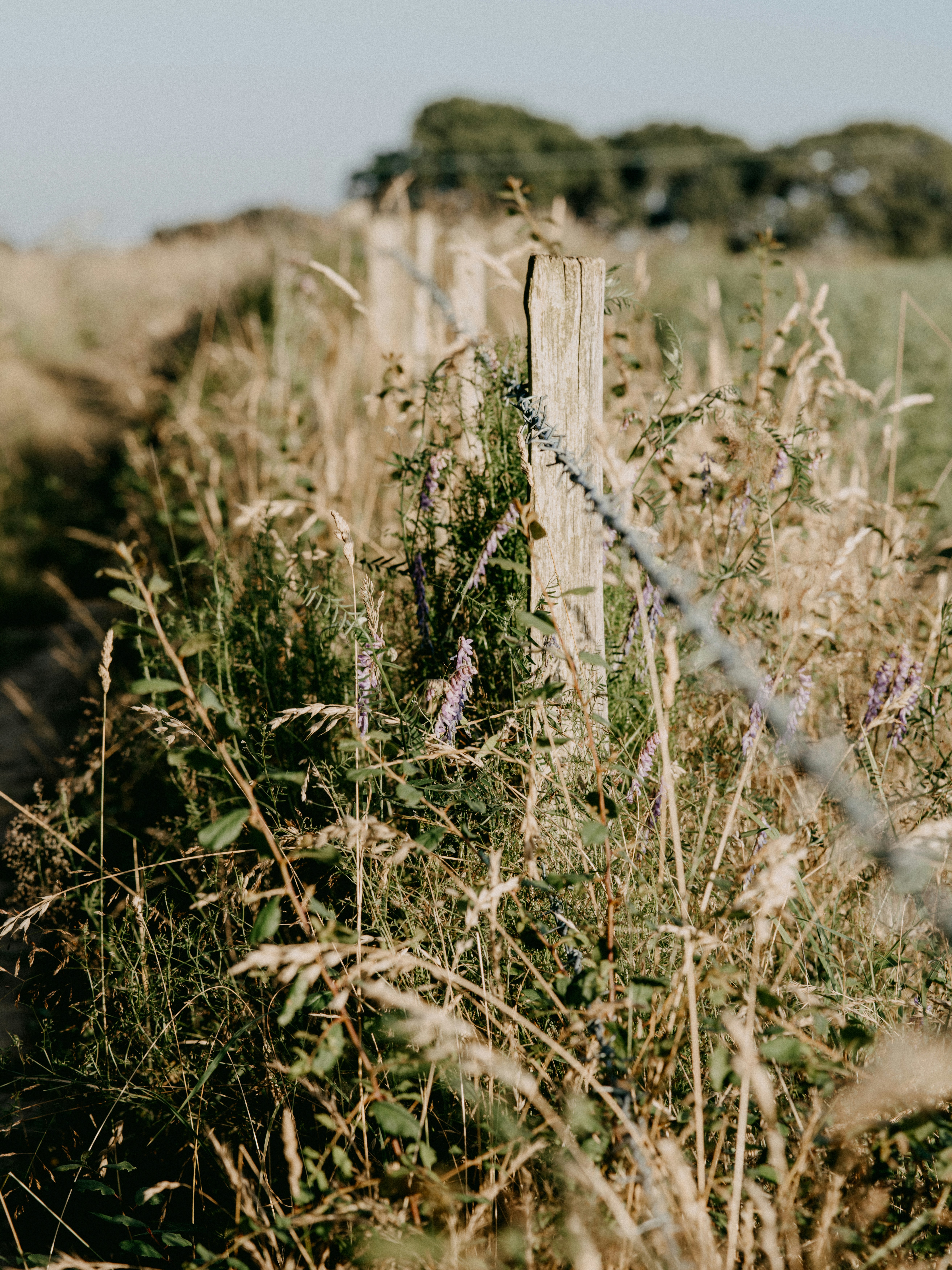 Photo by anniespratt