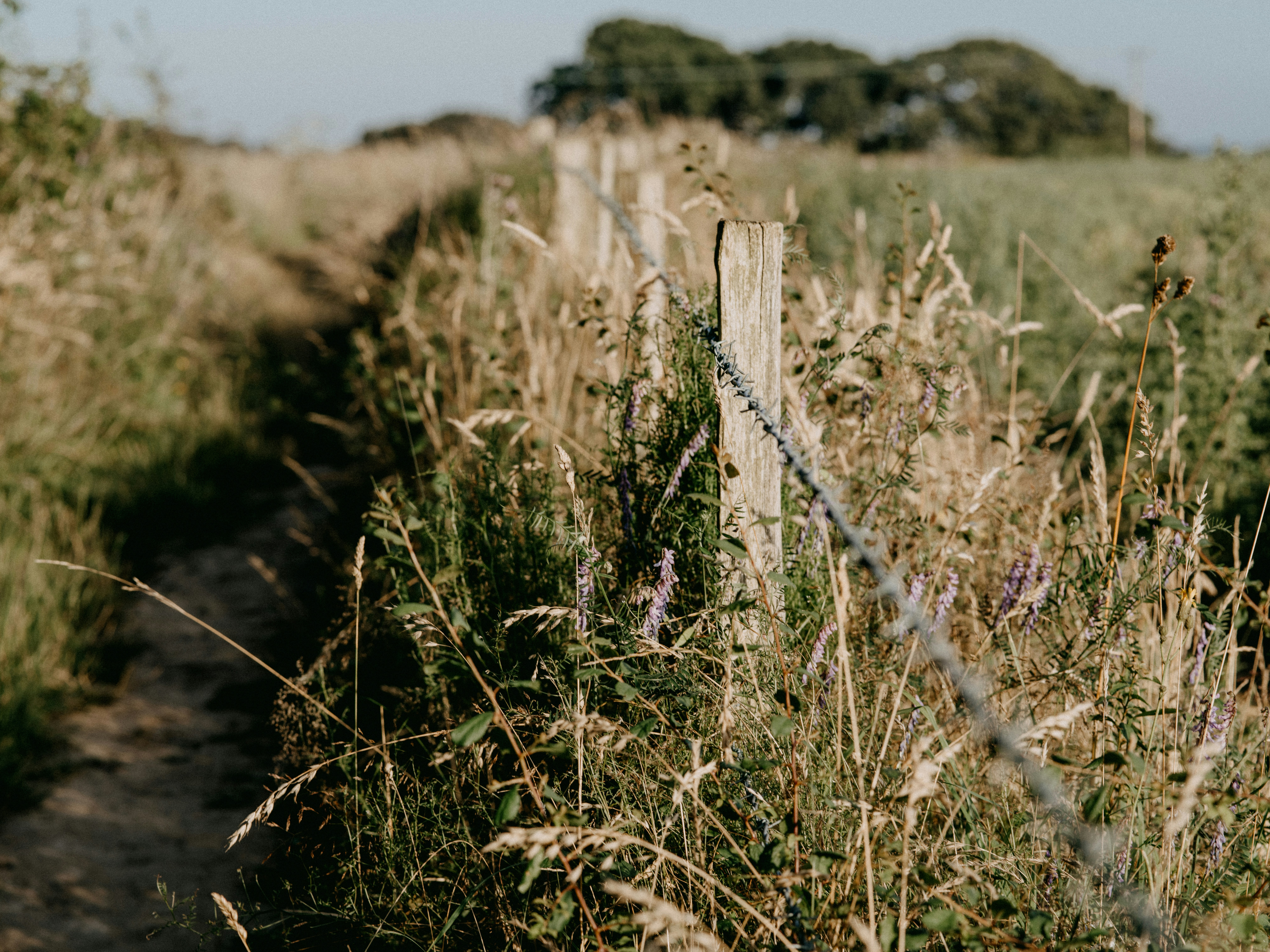 Photo by anniespratt