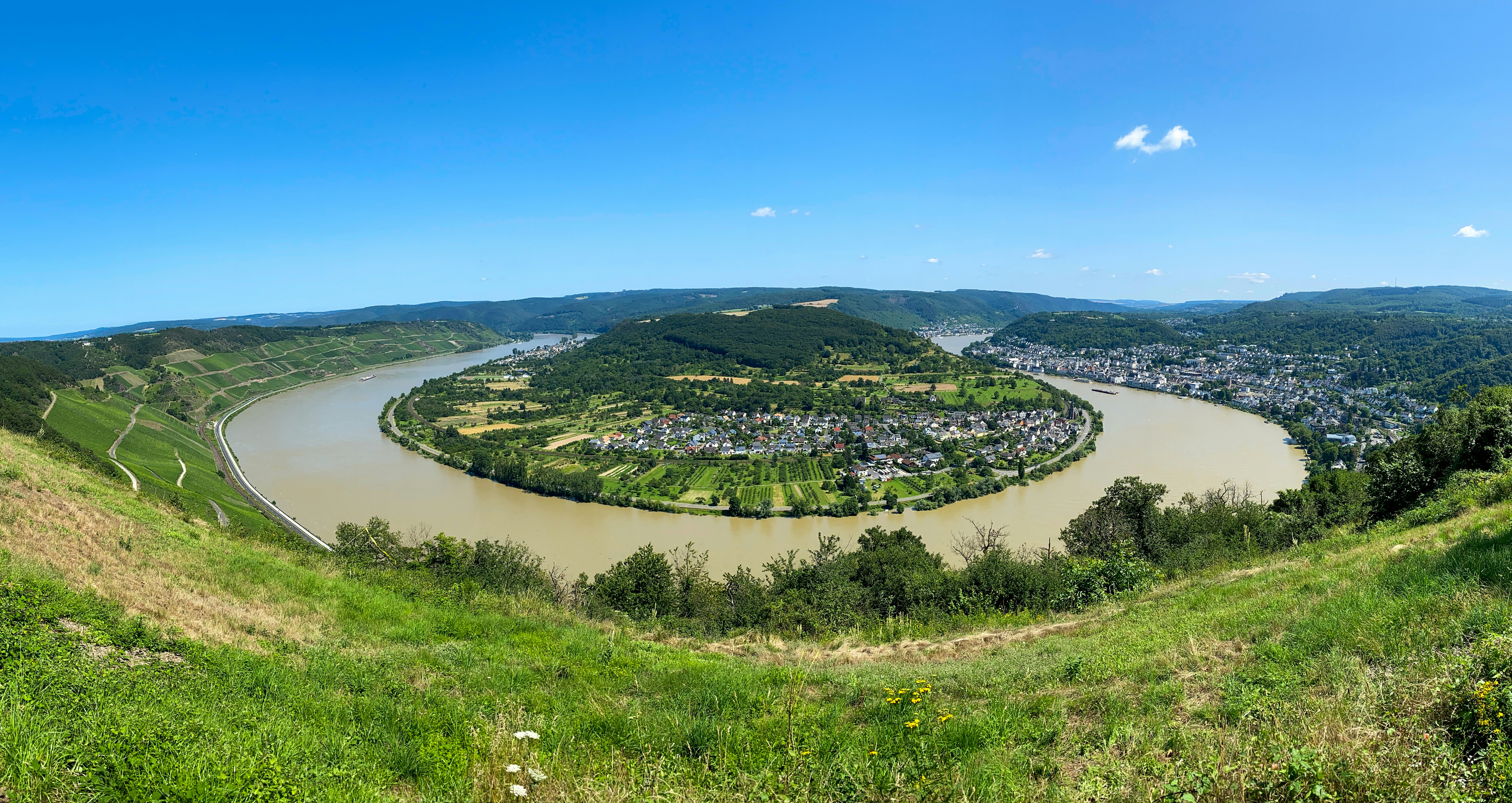 aerial view of green trees and river during daytime