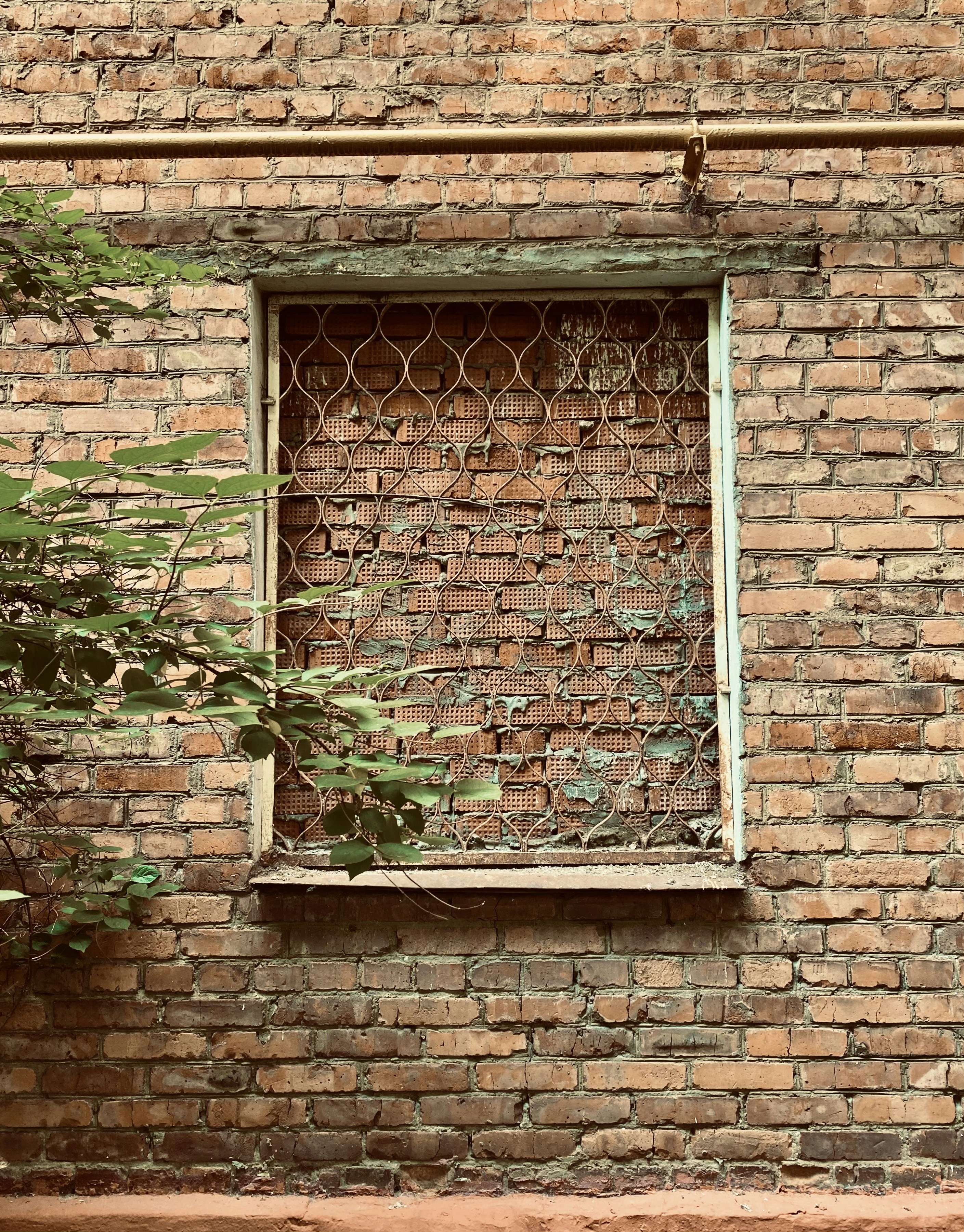 Photo by your_scorpion