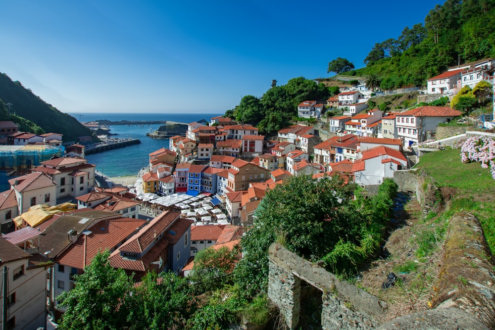 houses near body of water during daytime