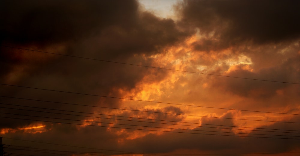 black electric wires under gray clouds