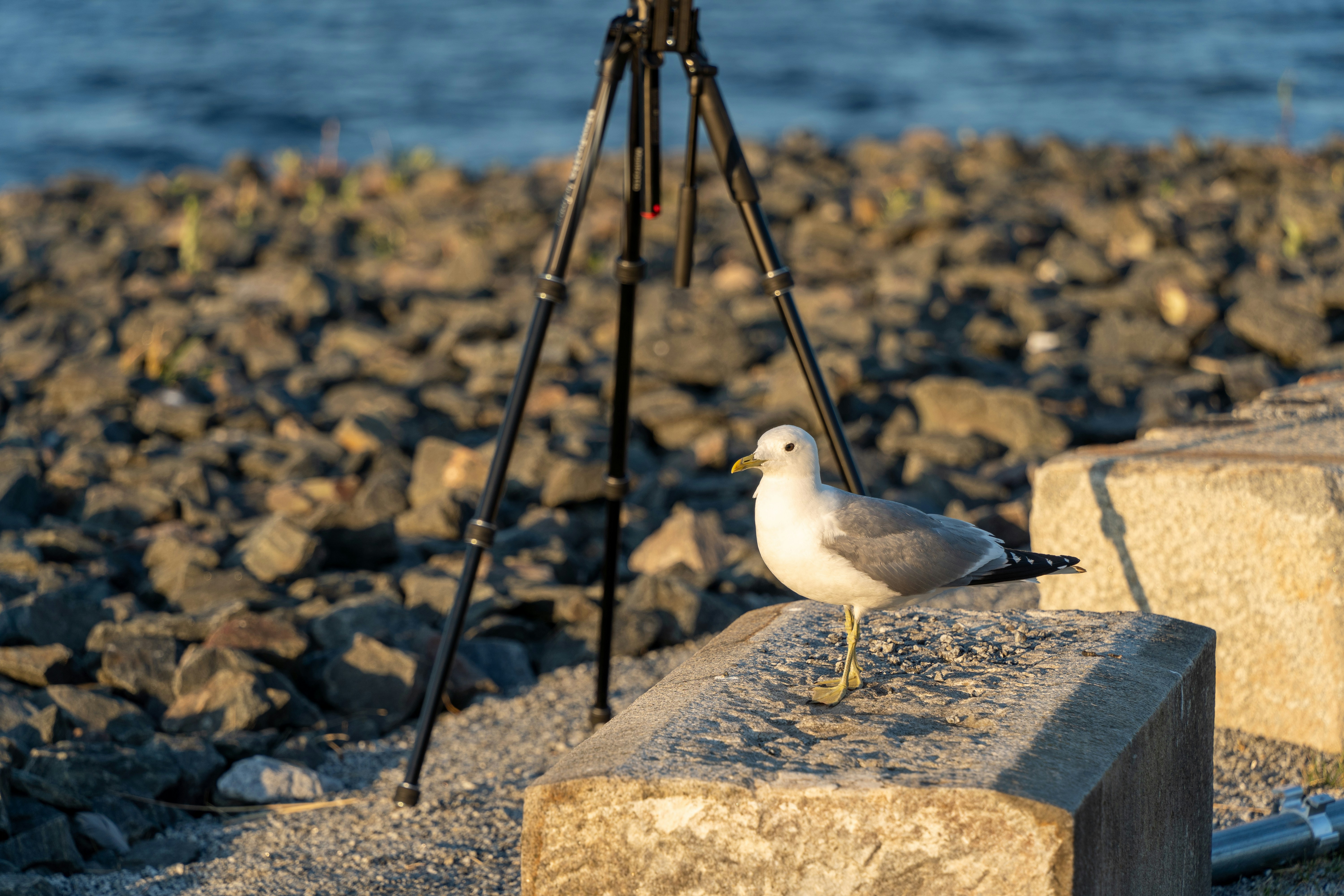 Tampere – Final Summary