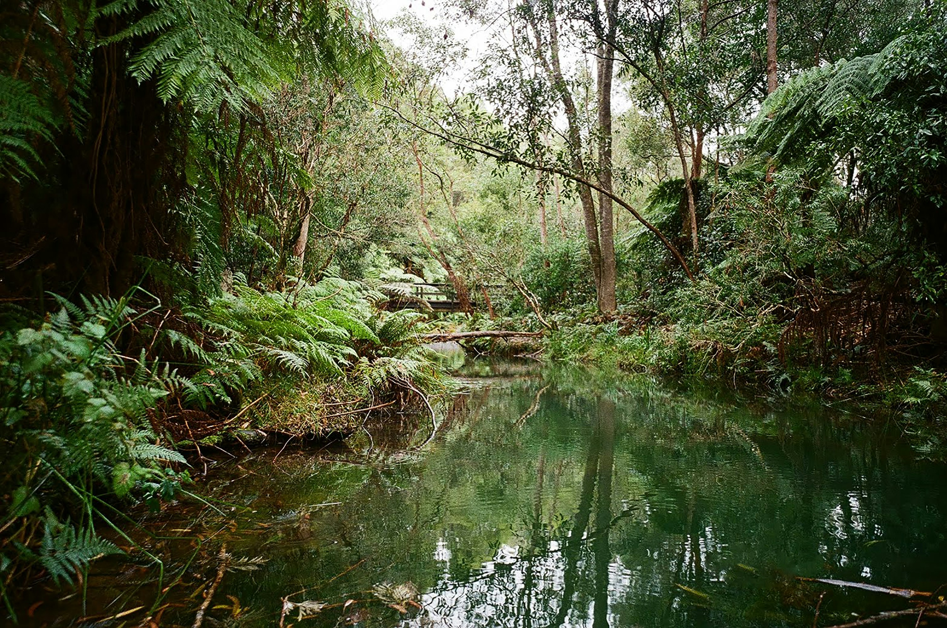 「ご放念」の意味と使い方・ビジネスで使える例文３つ