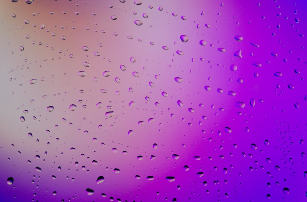 purple and green light digital wallpaper