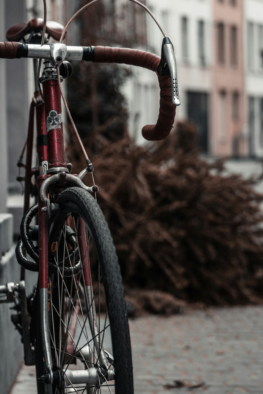 red and black bicycle near brown tree during daytime