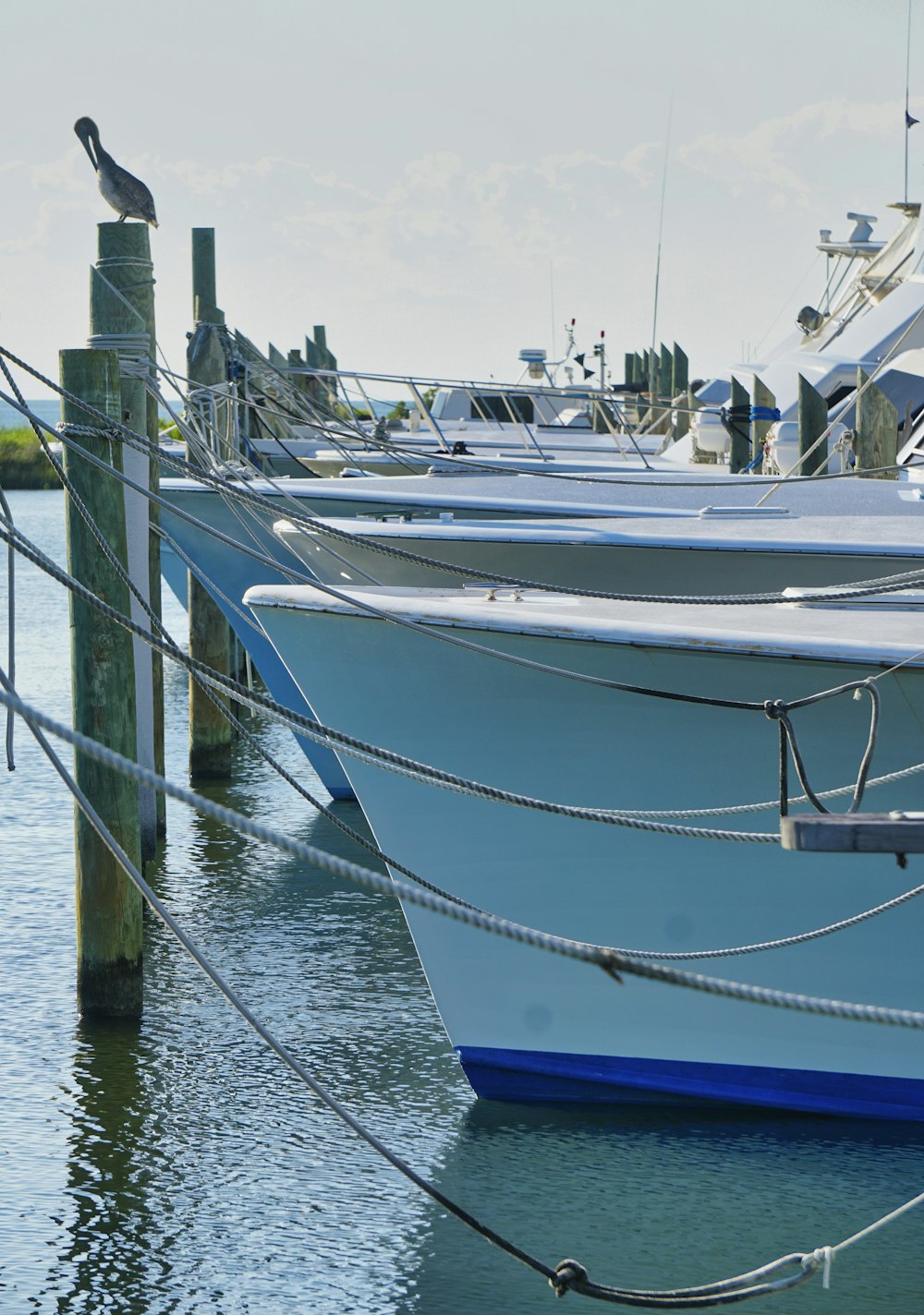 white and blue boat on water during daytime