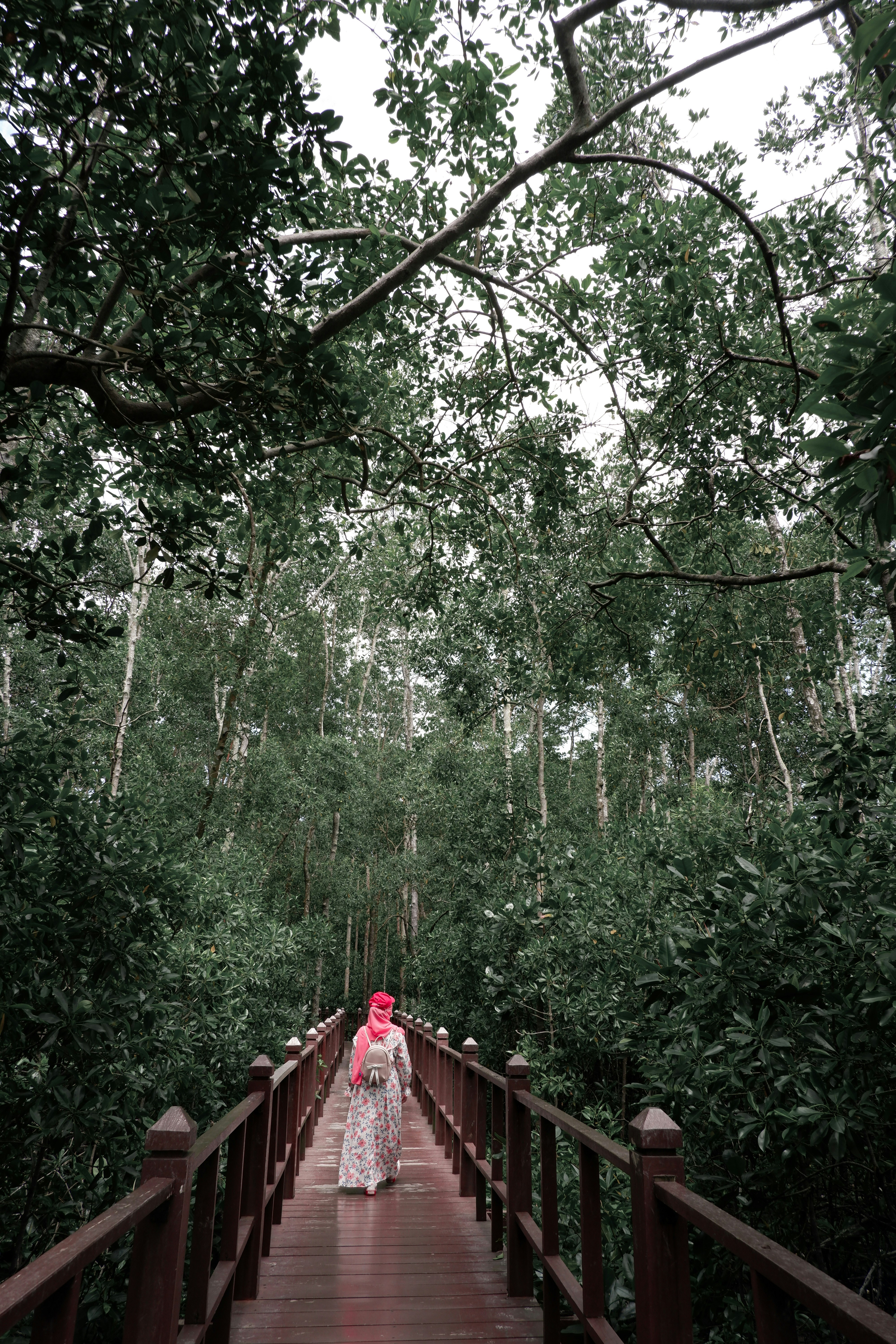 pohon hijau dan pagar kayu merah