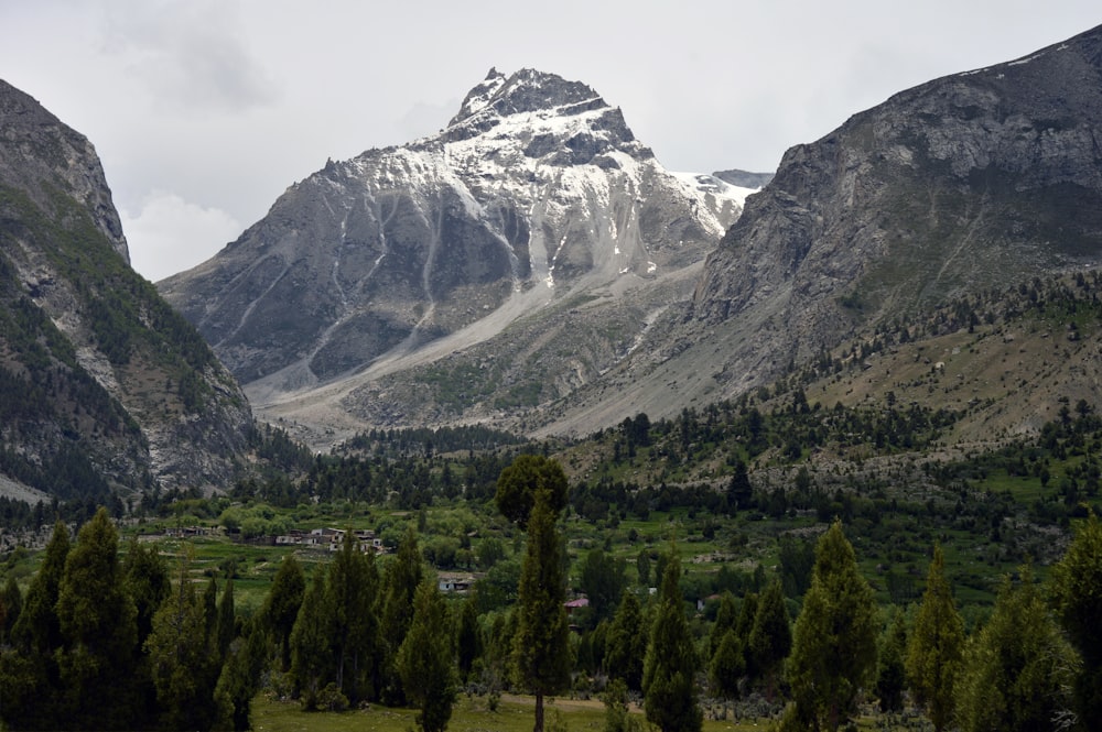 green trees and mountain under white sky during daytime