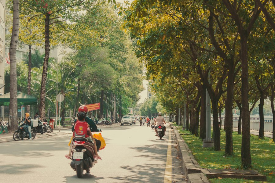 Xe Tay Ga Cao Cấp