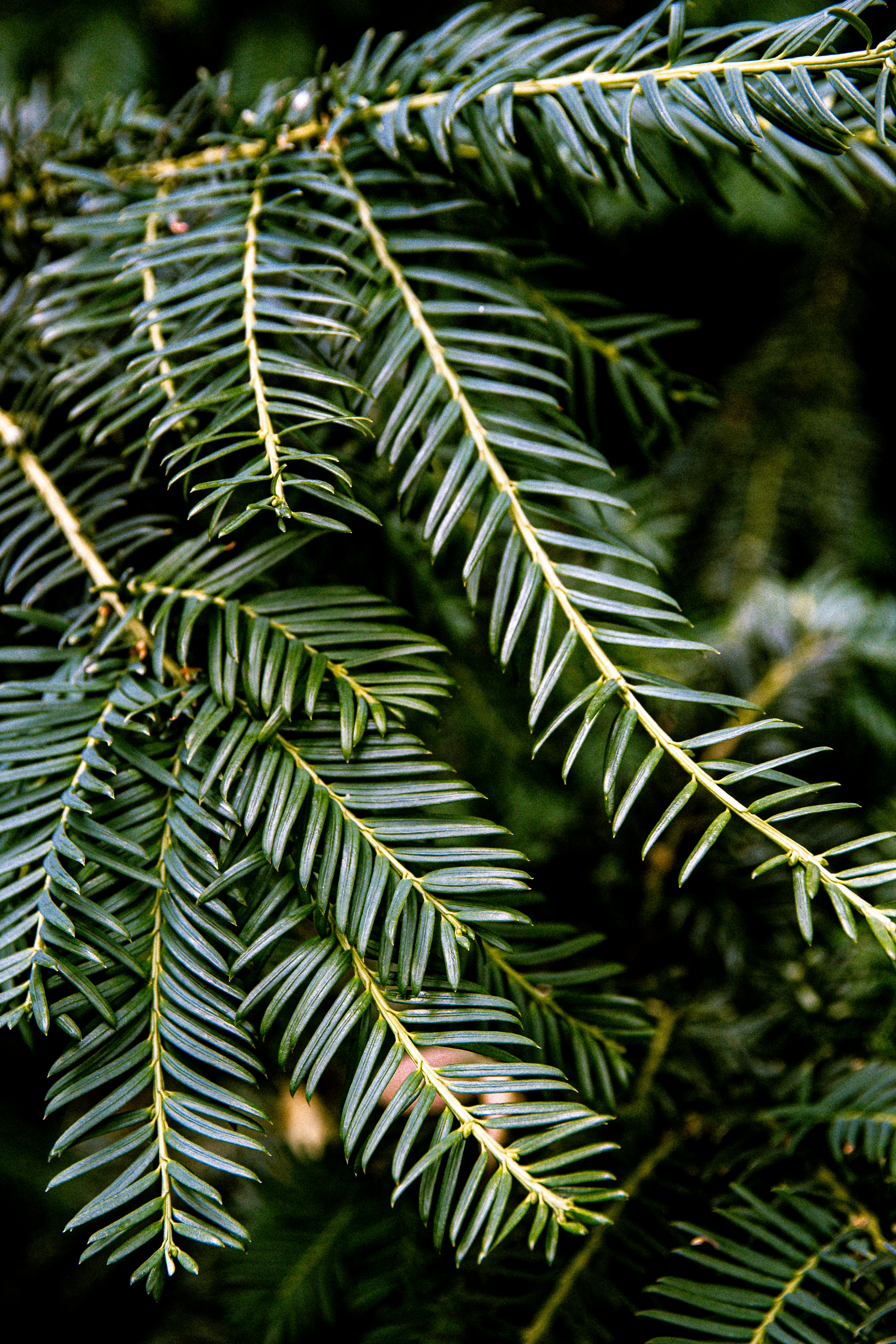 Photo by emilianovittoriosi