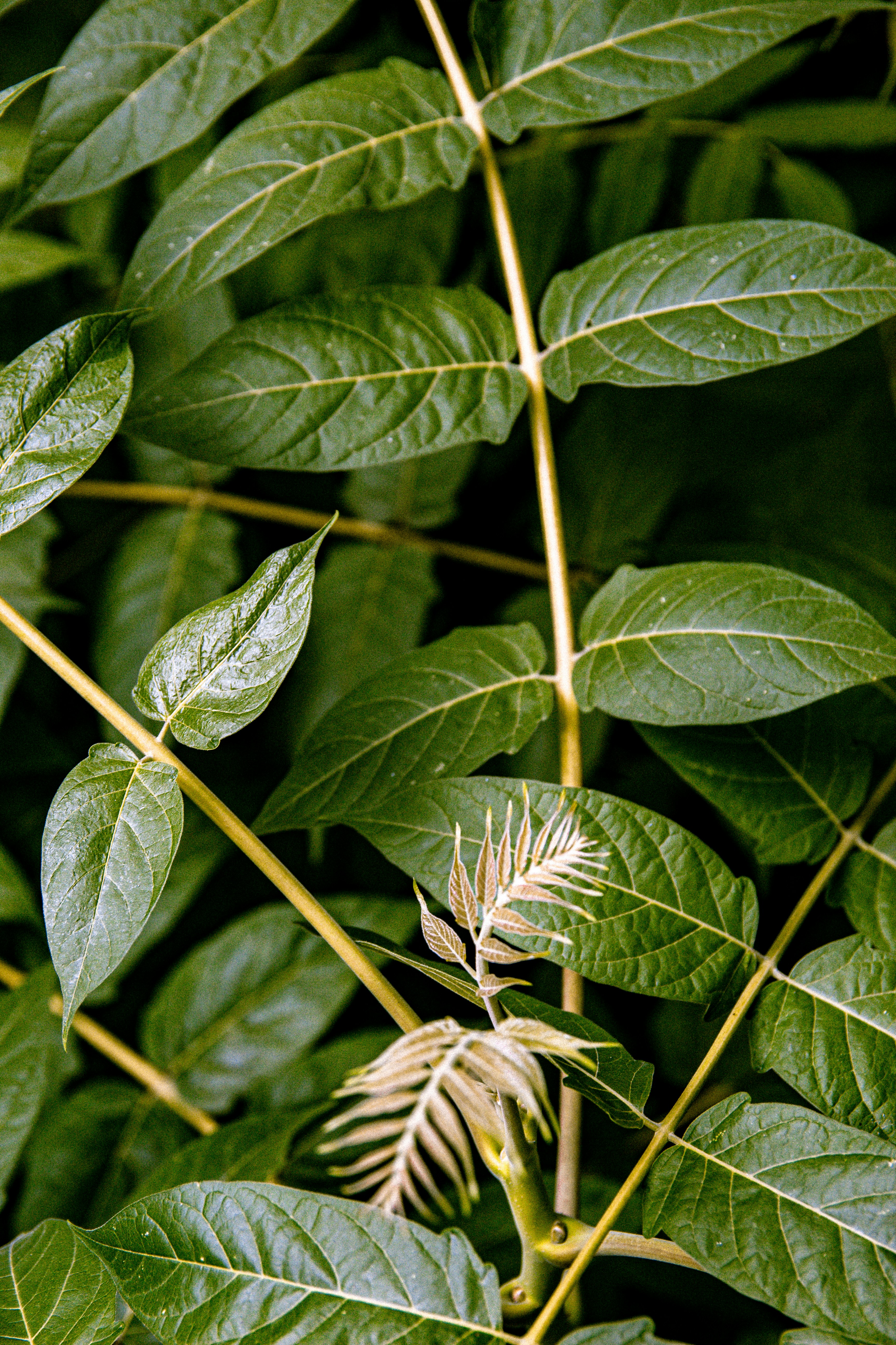 Photo by emilianovittoriosi