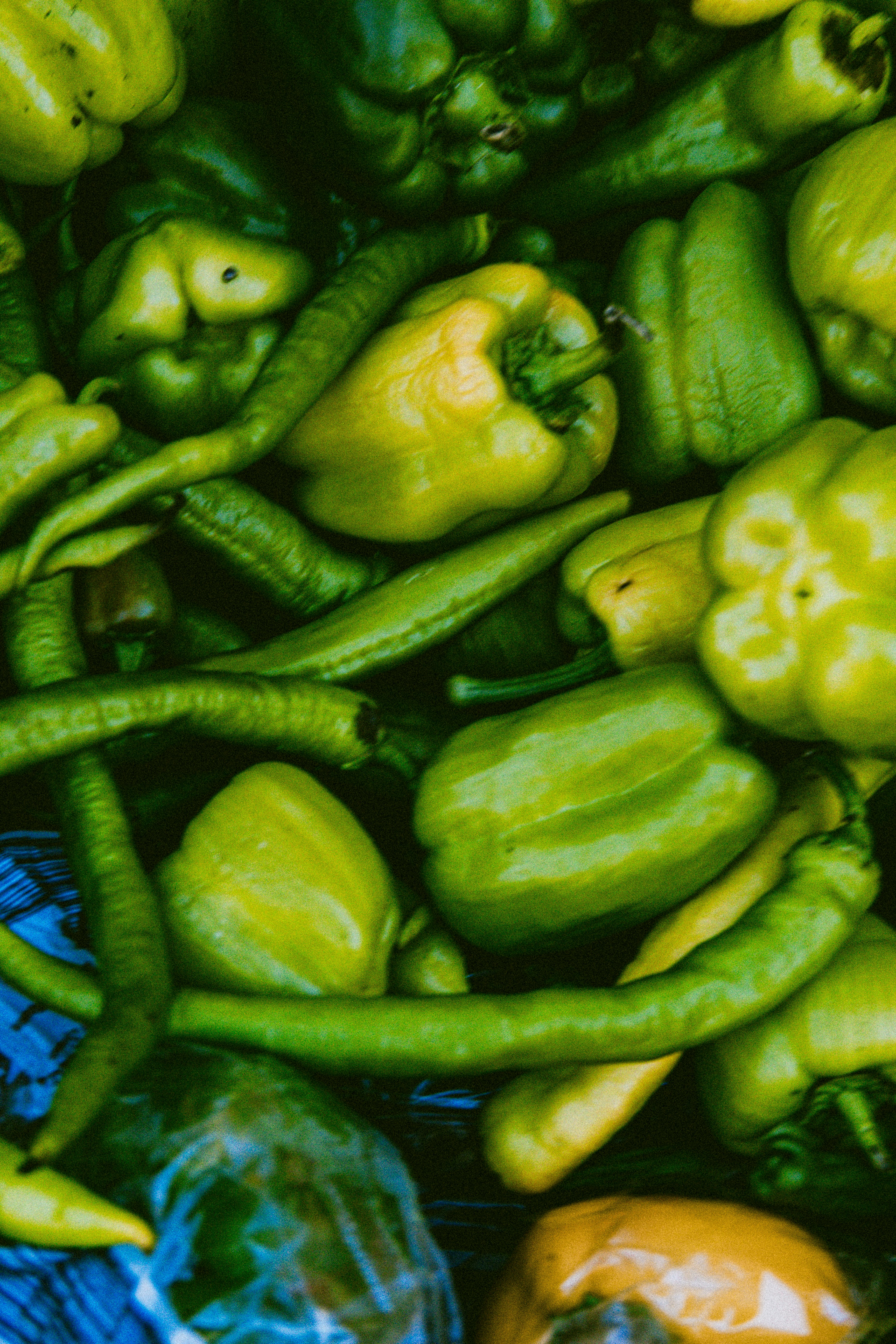 Photo by emilianovittoriosi