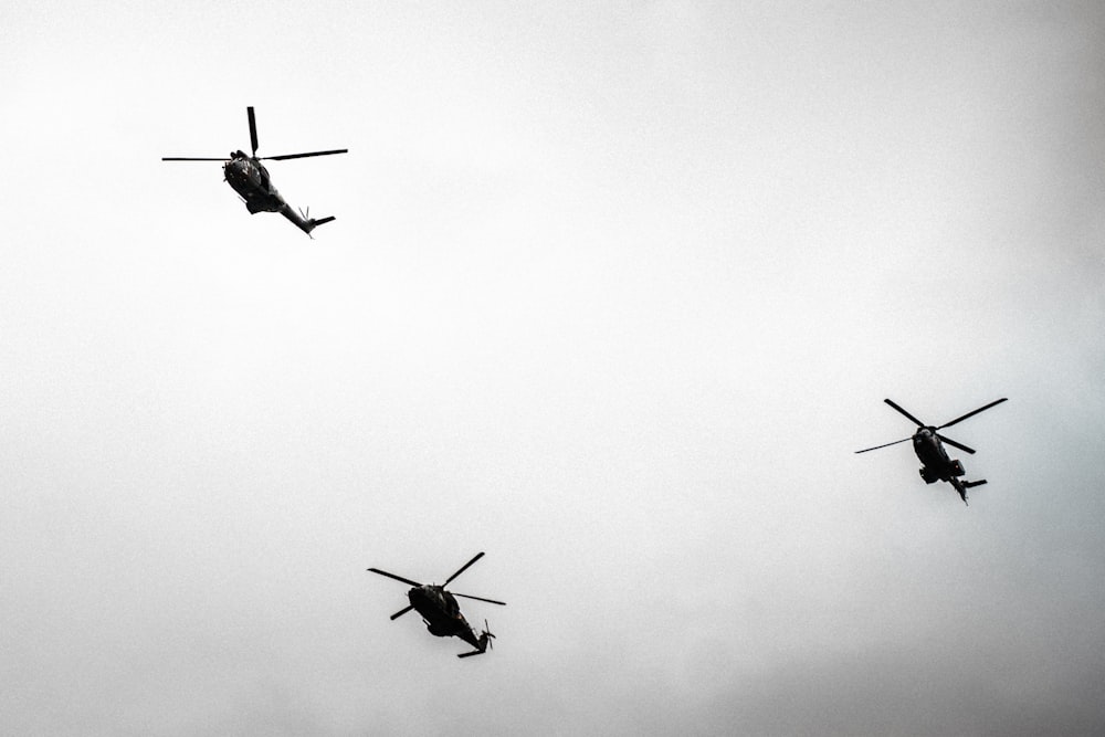 tre uccelli che volano nel cielo