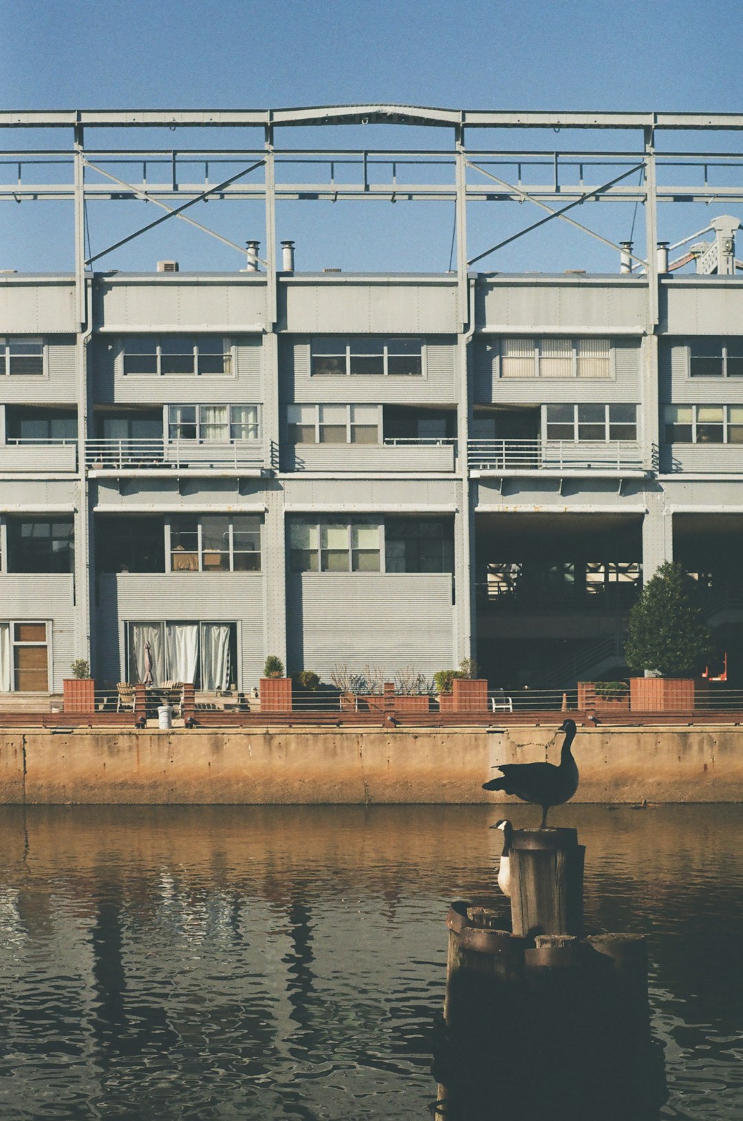 white and blue concrete building near body of water during daytime