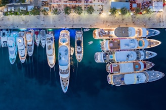 blue and white boat on water during daytime