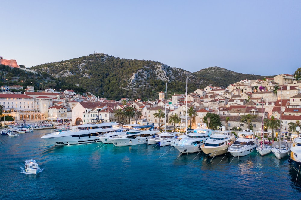 white and blue boats on sea near city buildings during daytime