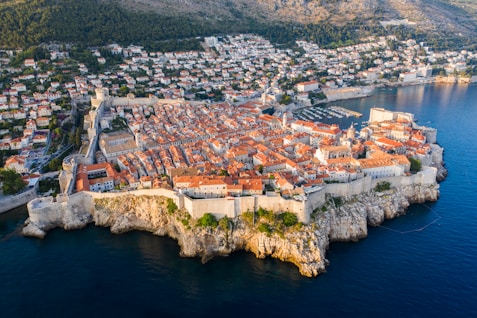 aerial view of city buildings near body of water during daytime
