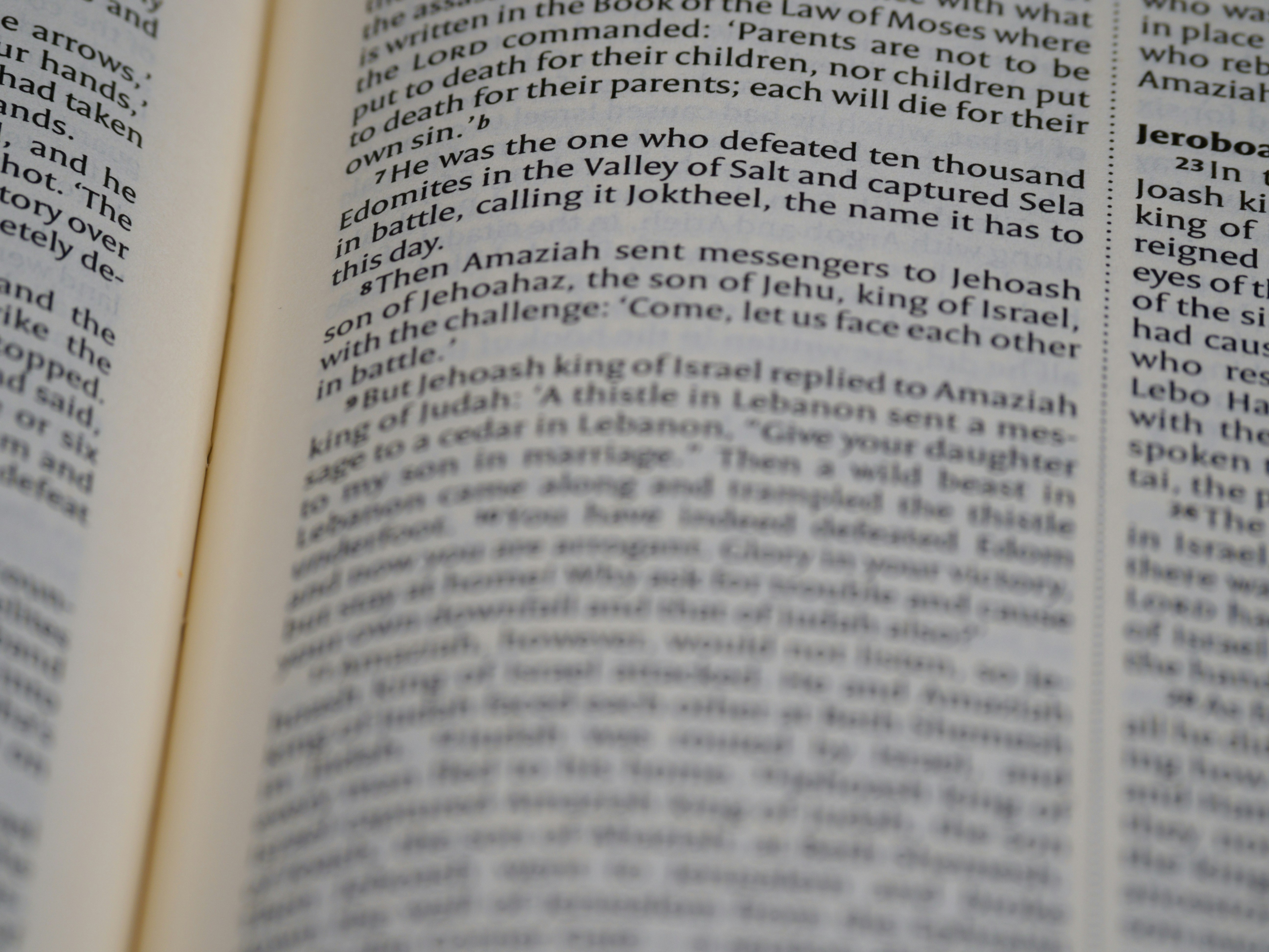 classic novel analyses