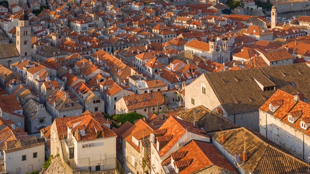 brown and white concrete houses