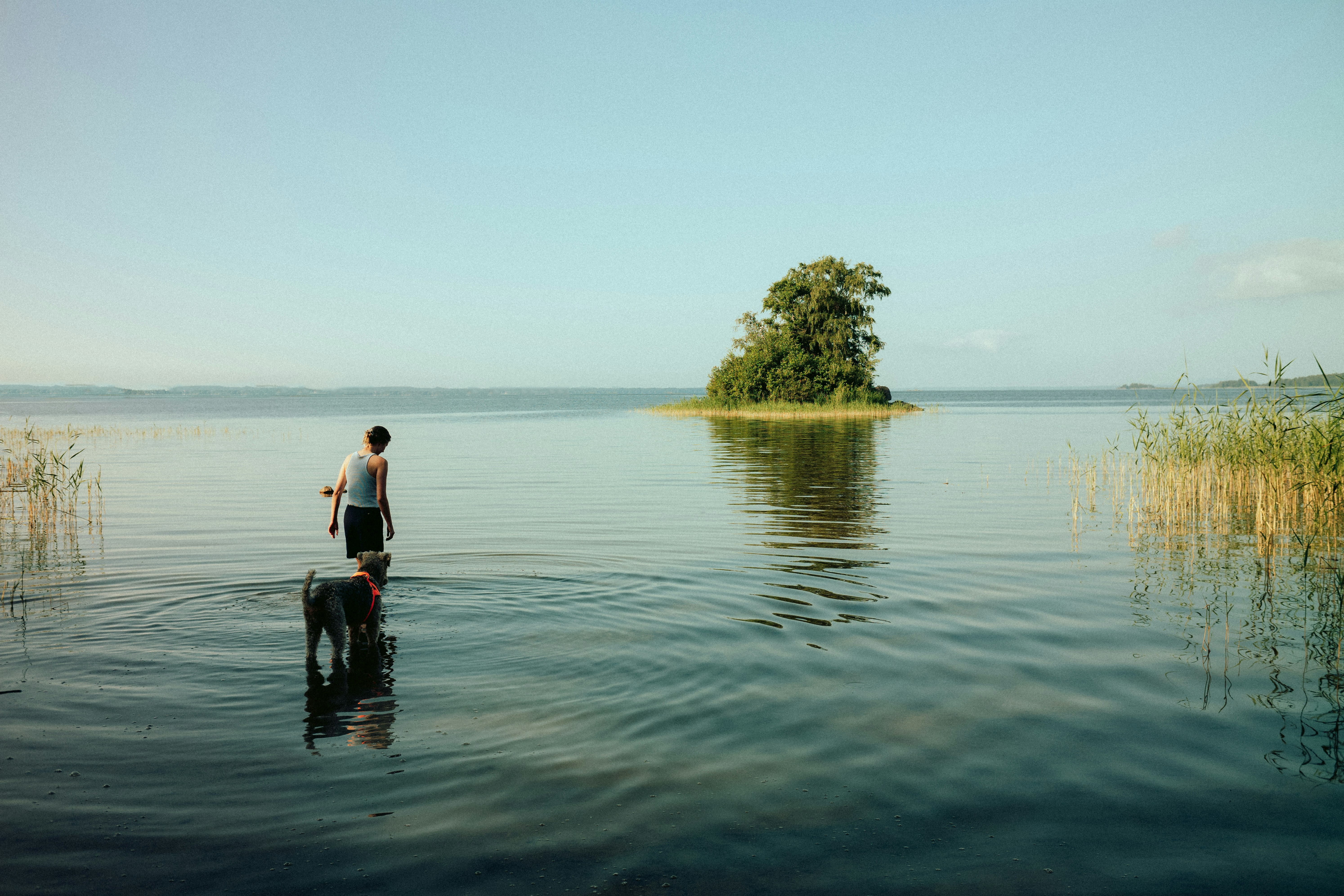 man in white shirt and black shorts standing on body of water during daytime