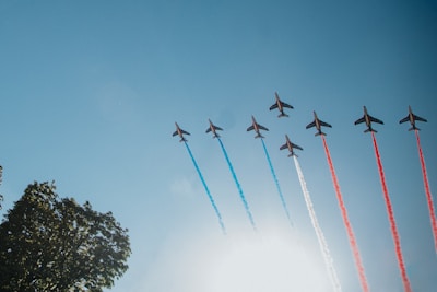 A formation of eight airplanes flies across a clear blue sky, each trailing colored smoke in blue, white, and red. The planes are aligned in a precise pattern, creating a visually striking display. A tree is visible in the foreground on the left side.