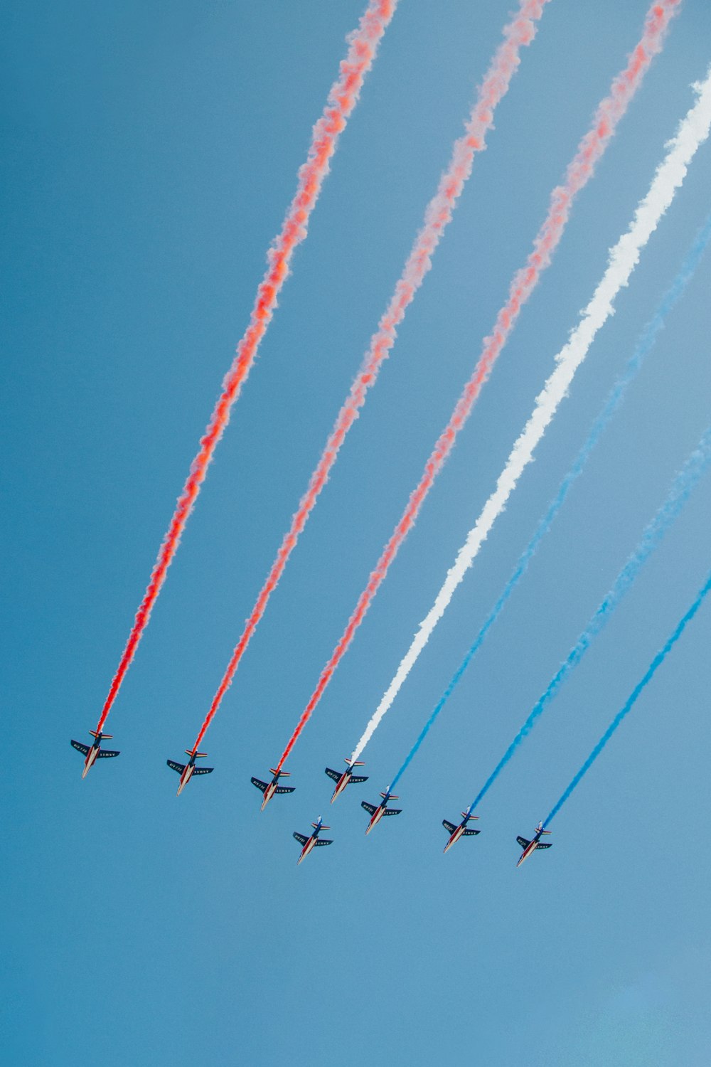 volée d’oiseaux volant sous le ciel bleu pendant la journée