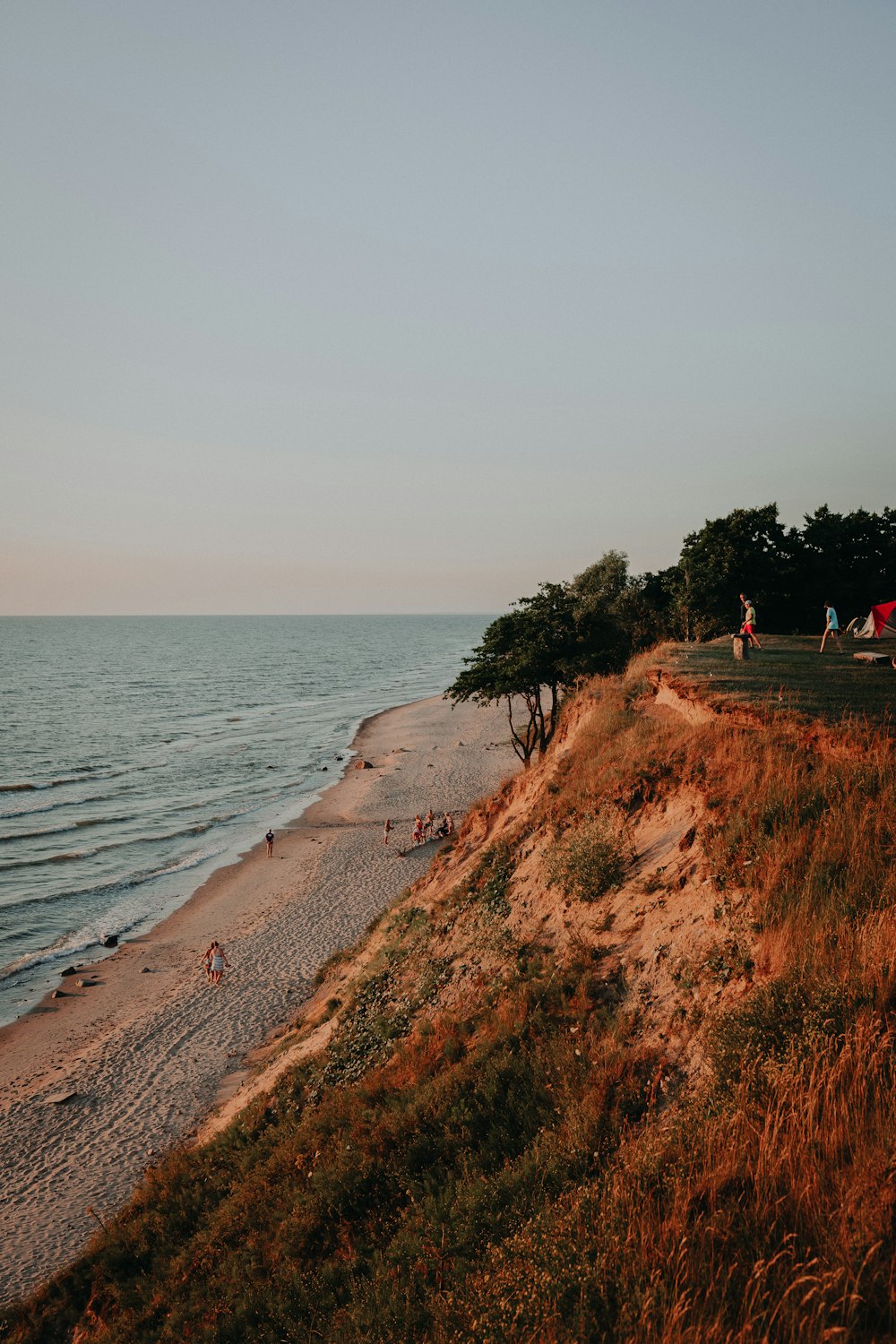 people walking on beach shore during daytime