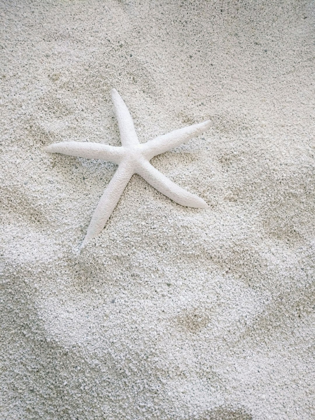  white starfish on white sand starfish