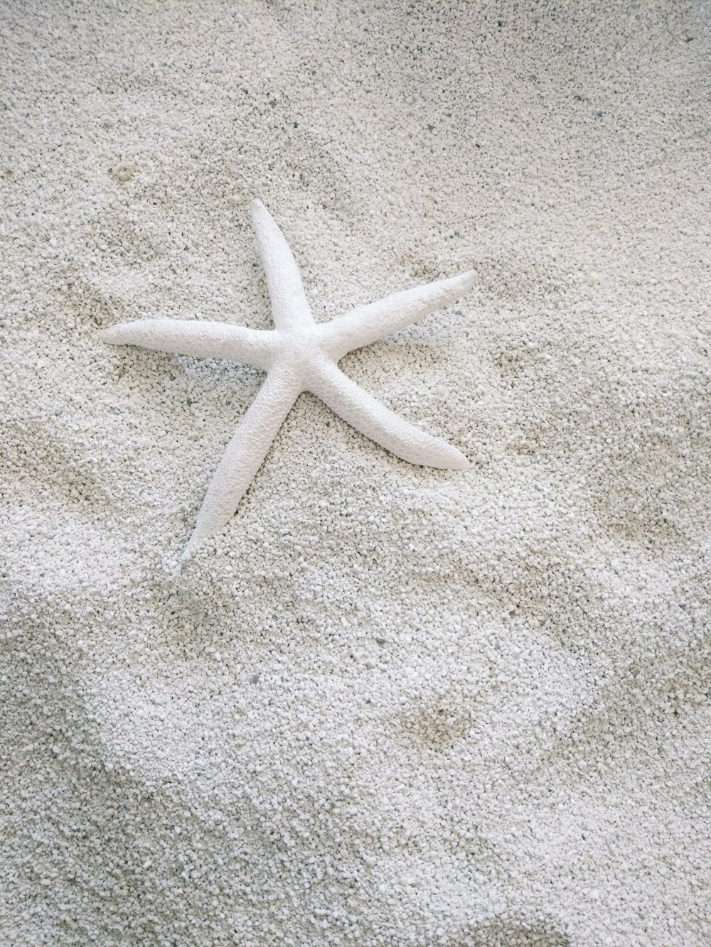 Weißer Seestern auf weißem Sand