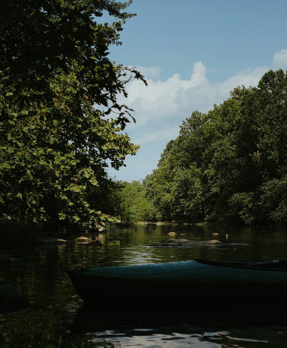 Barca blu sul fiume tra gli alberi verdi durante il giorno