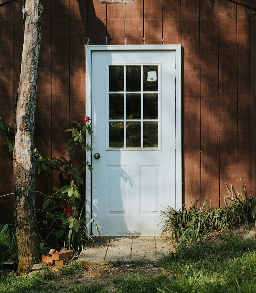 white wooden door beside brown tree trunk