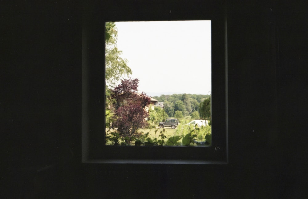 Arbres verts et champ d’herbe verte