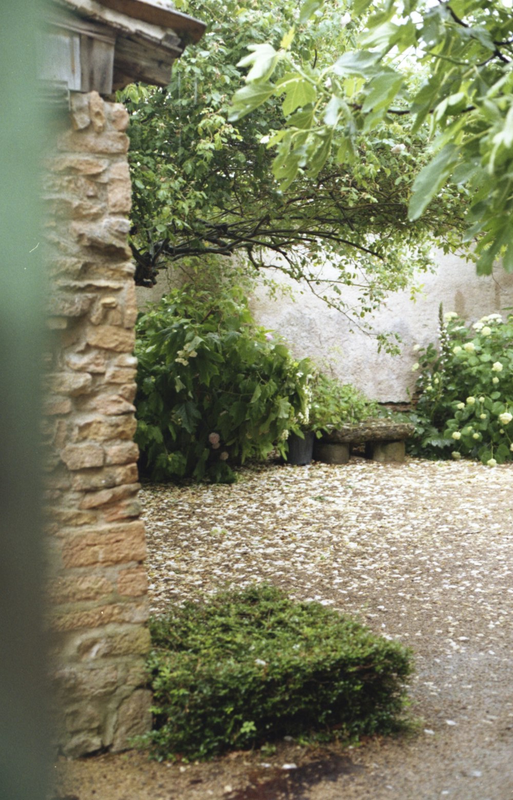 green trees and plants near brown brick wall