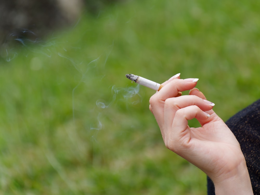 persona sosteniendo un palo de cigarrillo blanco