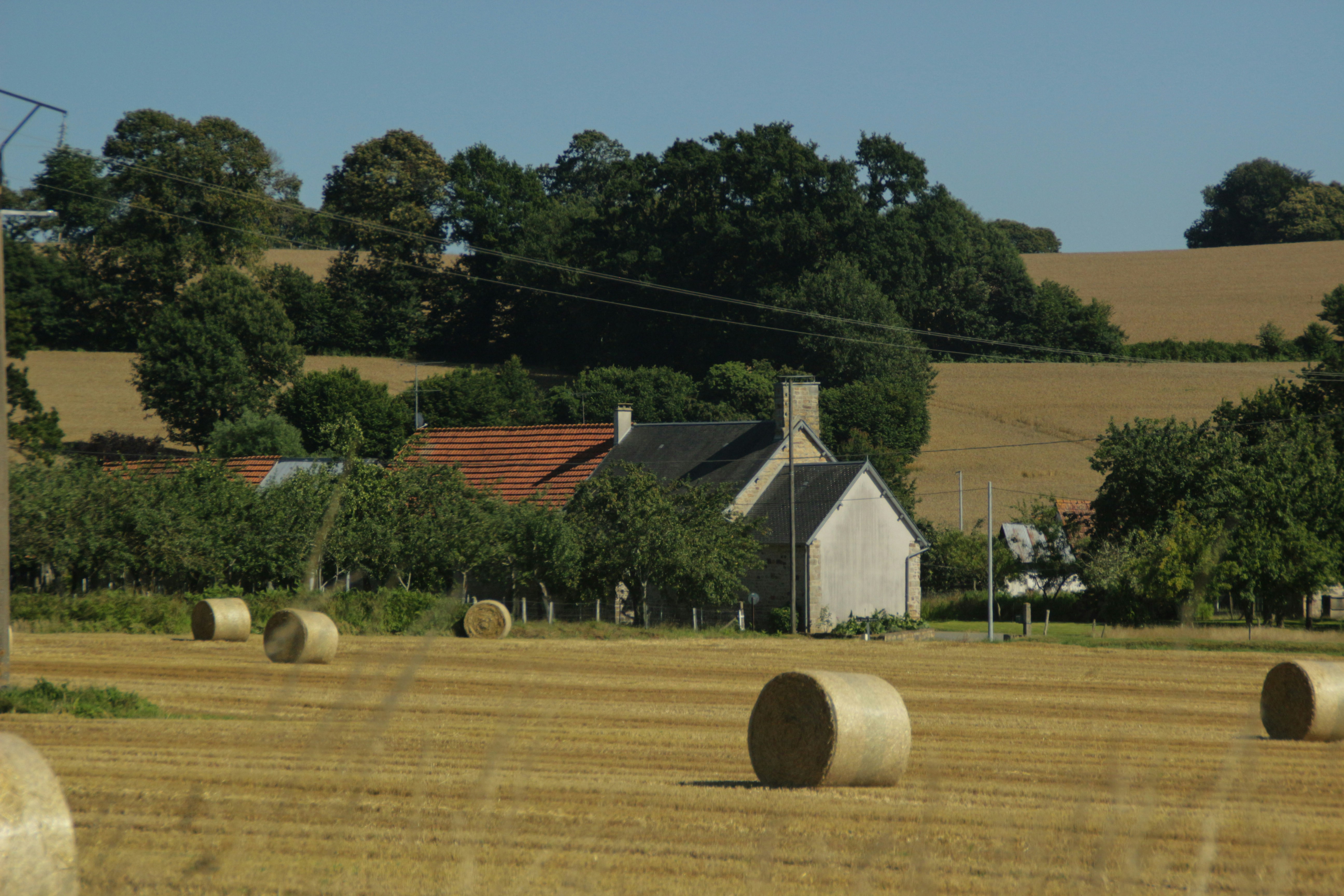 Countryside Farm Stays – A Peaceful Escape into Rural Charm