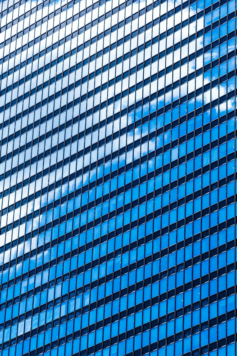blue and white glass window