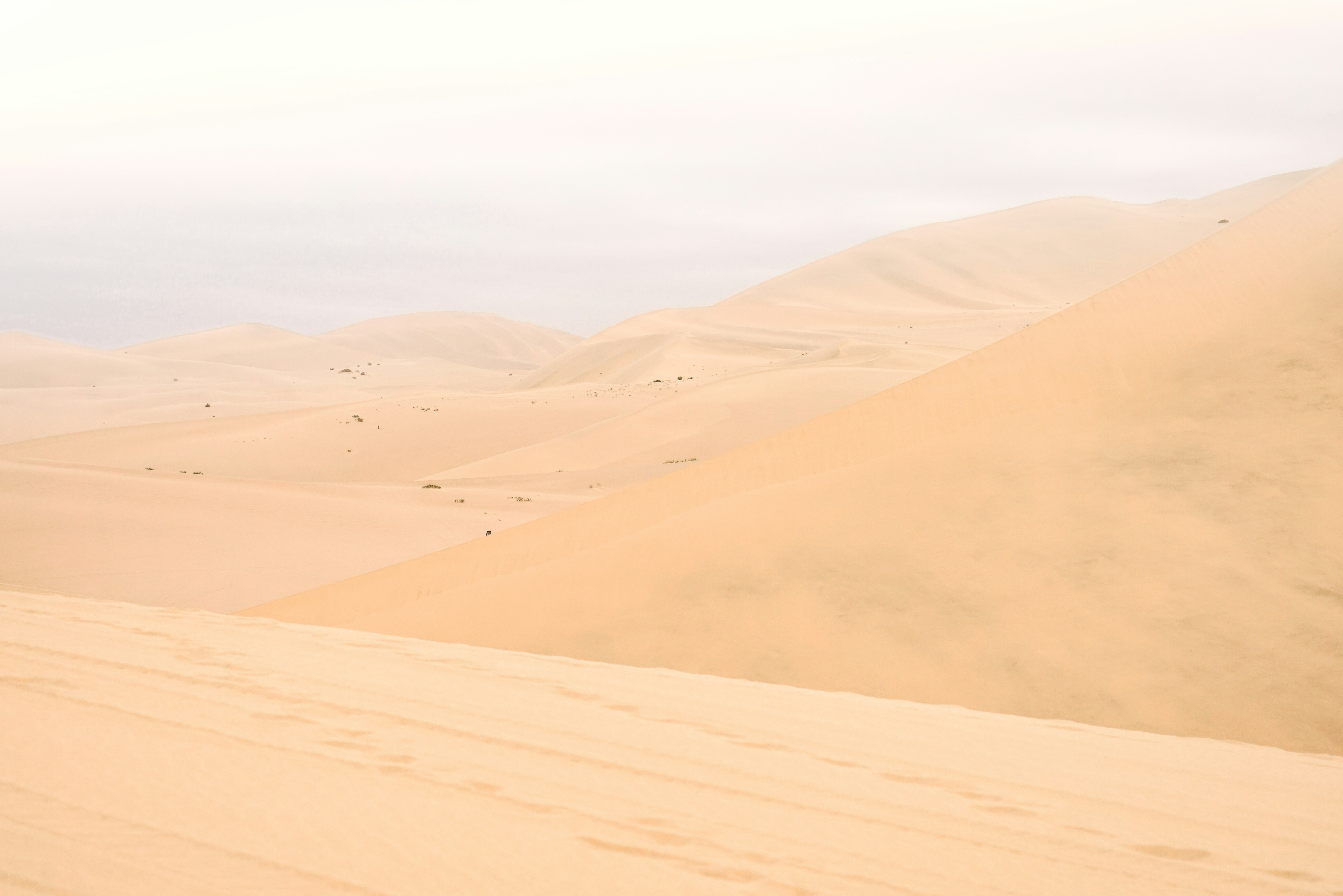 Photo by juniperphoton