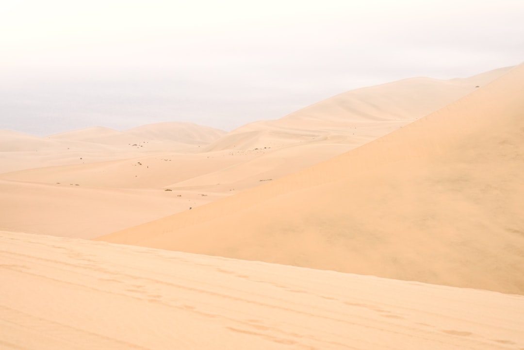 brown sand dunes during daytime