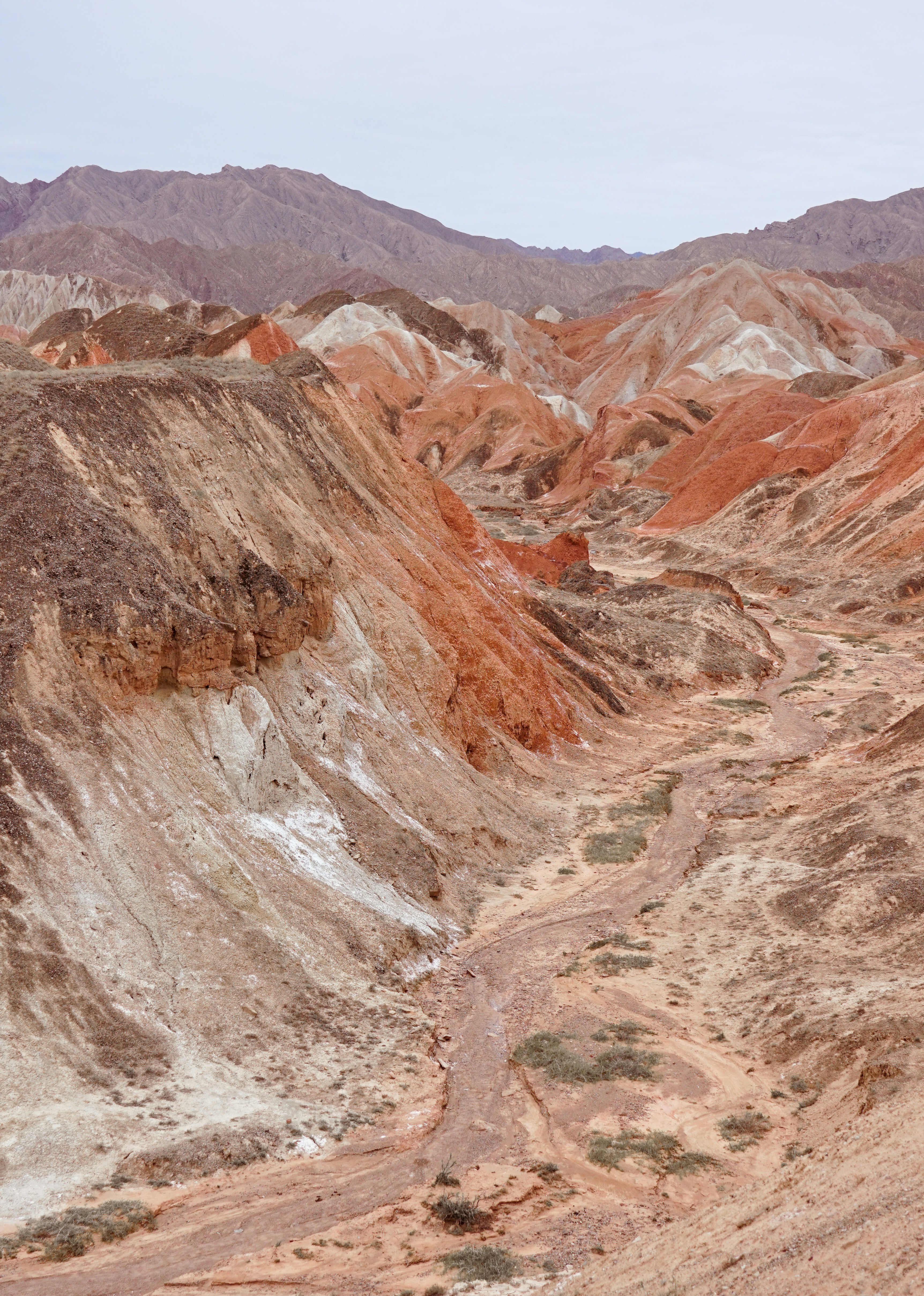 Photo by juniperphoton