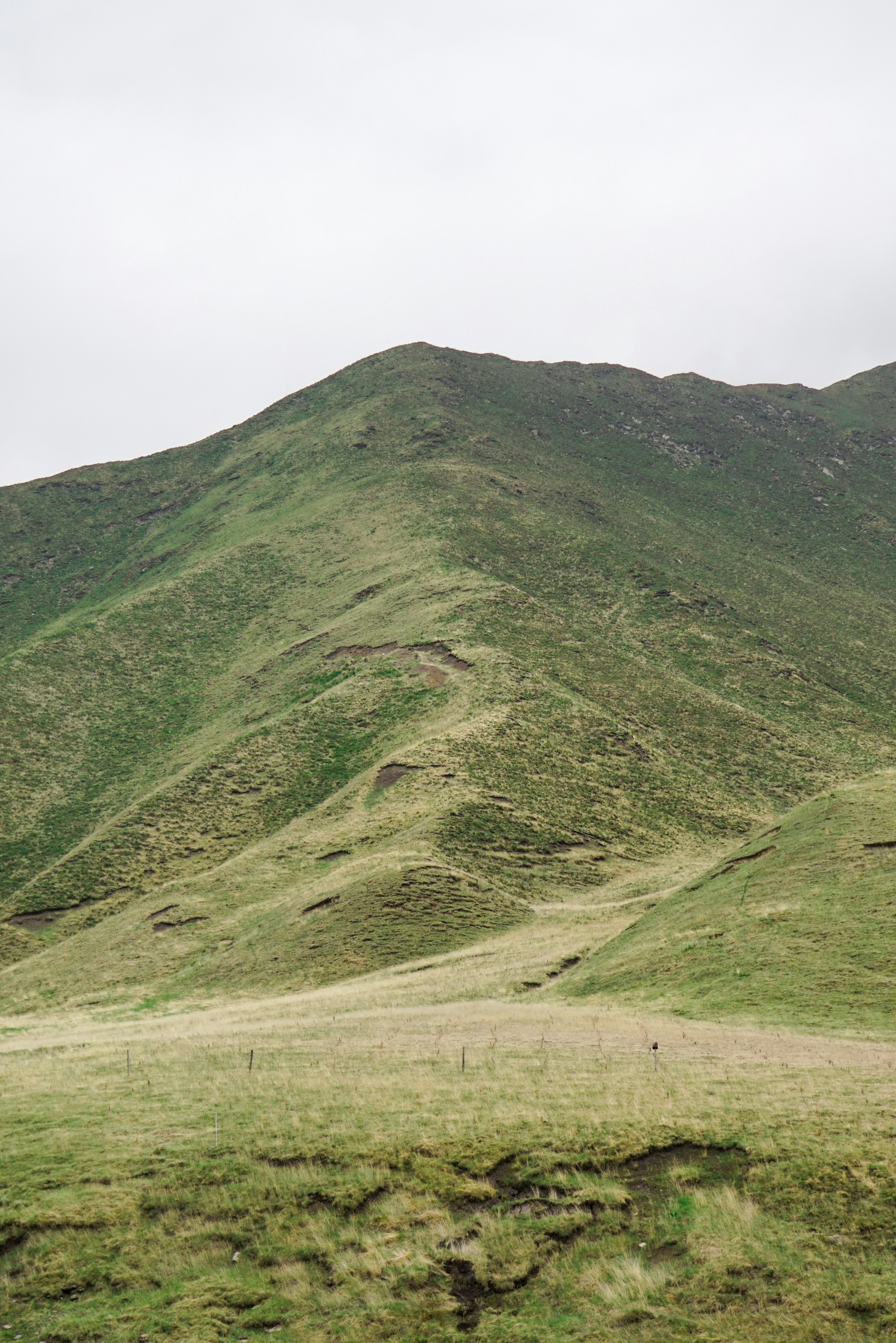 Photo by juniperphoton