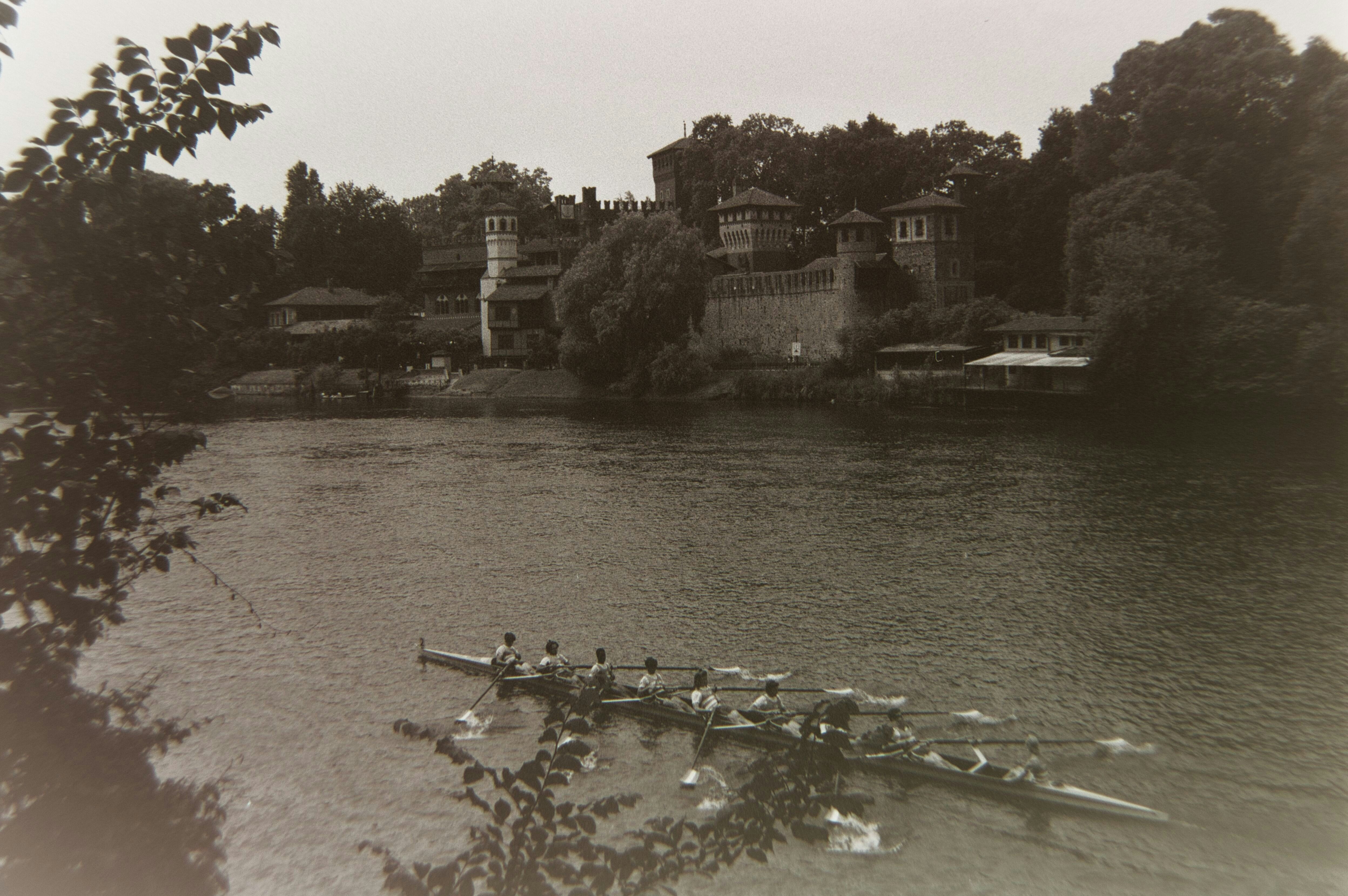 grayscale photo of flock of birds on water