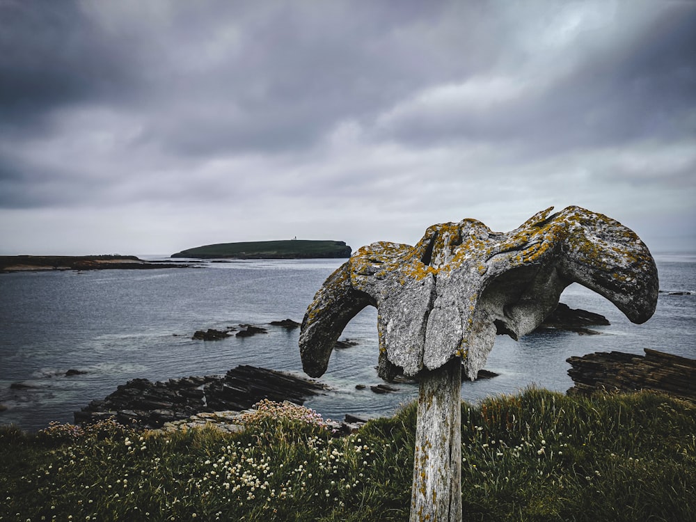 gray rock formation on sea under gray clouds