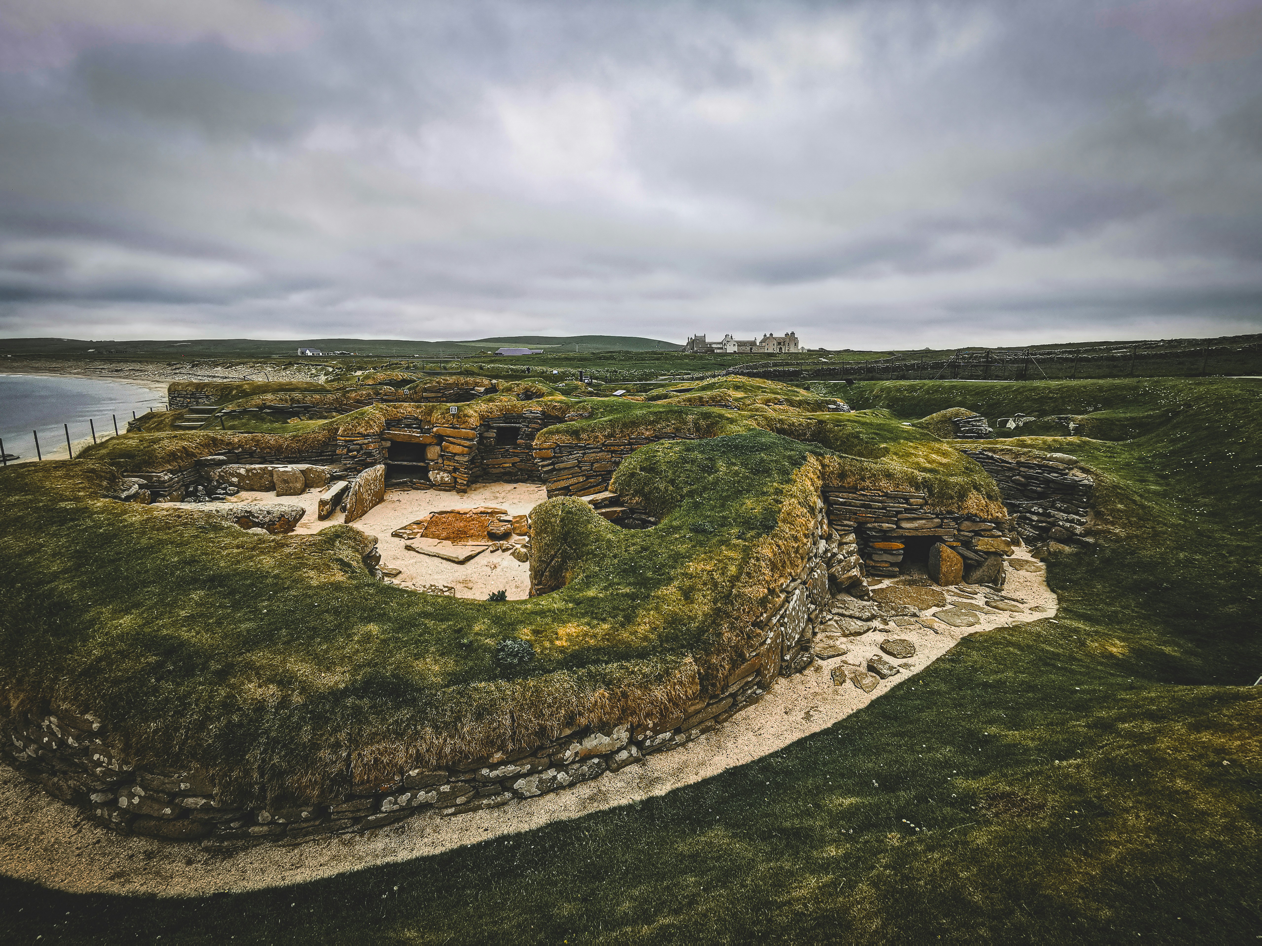 Quiz Time: How well do you know the Boreray breed?