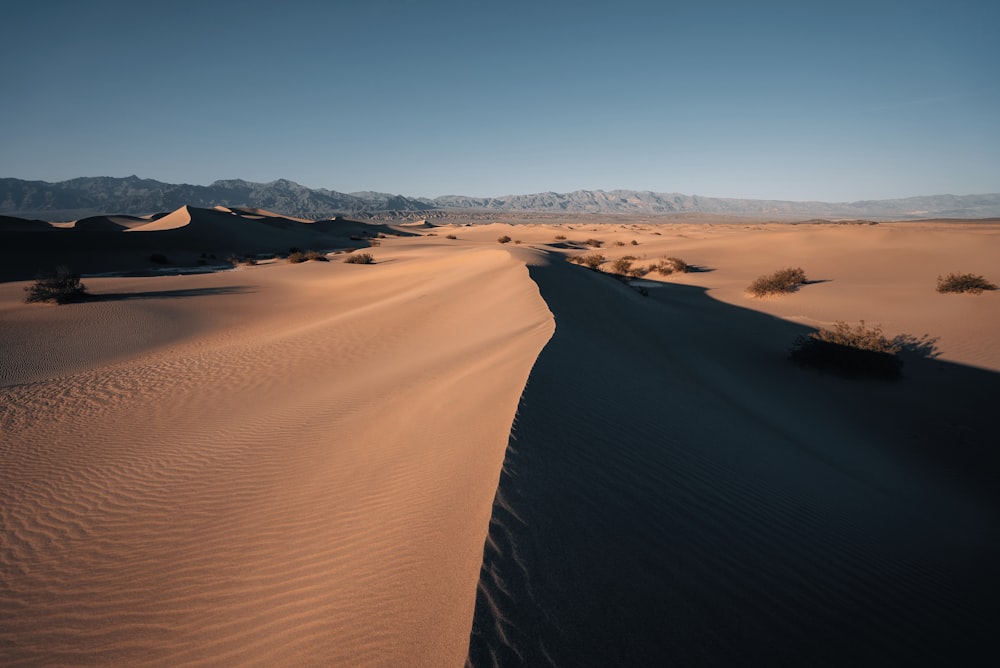 campo di sabbia marrone durante il giorno