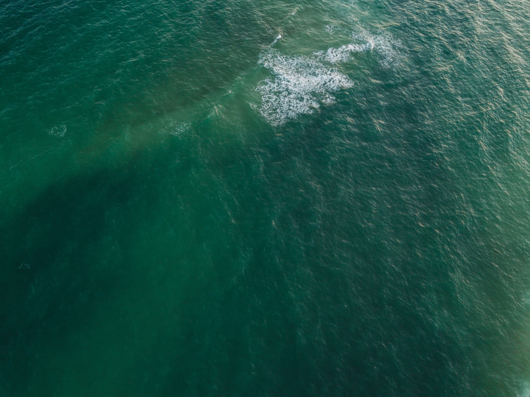 body of water during daytime