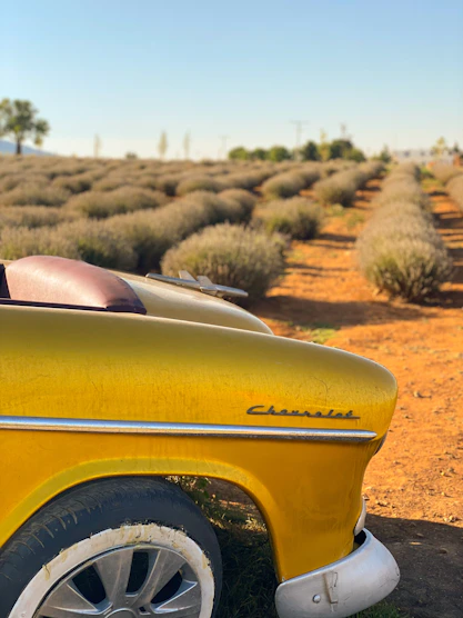 yellow car on brown dirt road during daytime